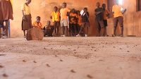 The insects live in the roof of the school and periodically fall on the floor