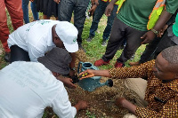 Green Ghana is an afforestation driven programme by the gov't