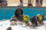 Water polo is growing in Ghana