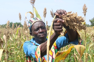 A farmer tending to crops