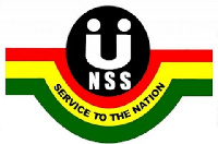 NSS logo