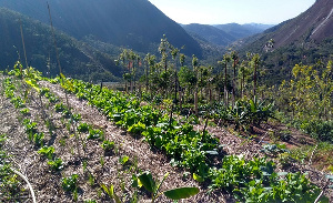 Practicing agroecology is lower than the other methods of farming