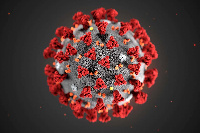 File photo of a coronavirus