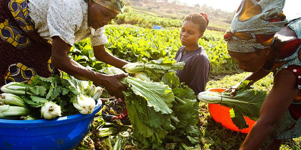 Women need to be supported to expand their farm lands and improve their living standards