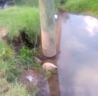 The pole is situated in a stream running through a portion of the land