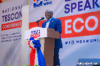 Dr. Mahamudu Bawumia, Vice President