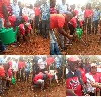 Staff of Vodafone Ghana planting trees