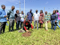 The MCE Hon. Elizabeth Kaakie Mann planting a tree