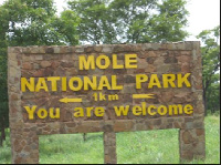 The Mole wildlife officer was found dead with gunshot injuries