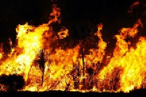 Fire has gutted the Fountain Gate School