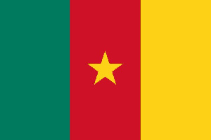 Cameroon Flag Election