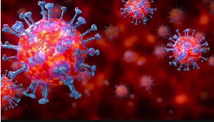 According to the Virologist, no individual will survive if coronavirus exists as an aerosol