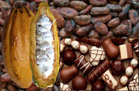 Cocoa farming is common in Ghana