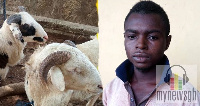 Evans Sarpong, the suspect, has gained notoriety in stealing livestock in the area