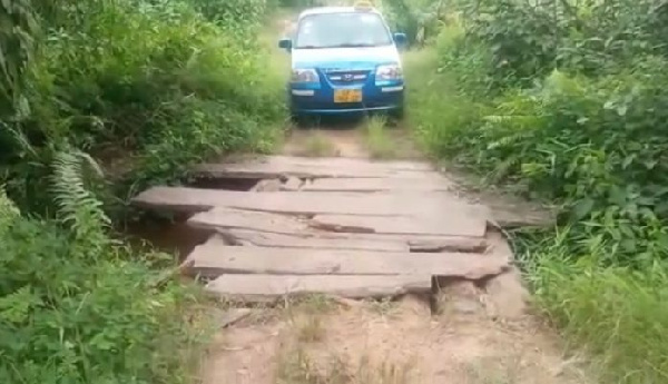 Bridge constructed with trunks of coconut tree