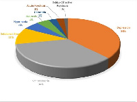 According to the WHO, about 41% of Ghanaians have mild, moderate and severe psychological distress