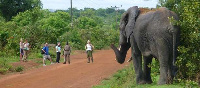 File photo: Tourists in Africa