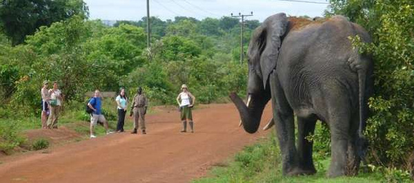 File photo: Tourists in Africa