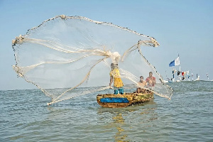 The fishing industry accounts for over US$500million into the economy every year