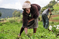 The farmers were honored for their outstanding contribution to the growth of the area