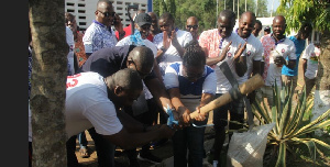 Presec Sod Cutting