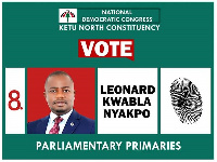 Ketu North constituency MP hopeful, Leonard Nyakpo