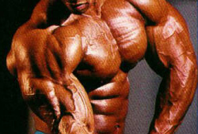 Bodybuilding General