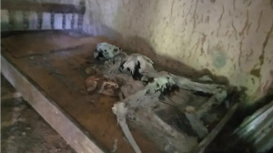 File Photo: Skeletal remains of the 65-year-old man found in his room