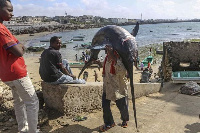 The waters off Somalia are rich in fish