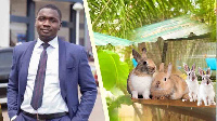 Leslie Kay is a graduate chartered accountant who rears rabbit part-time