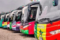A photo of some of the 2021 AFCON buses