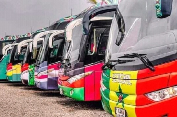 A photo of some of the 2021 AFCON buses