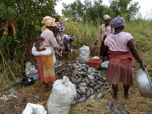 Ghana Aquaculture Association has urged Ghanaians not to panic over the matter