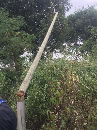 Cut electricity pole