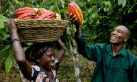 Farmers - File photo