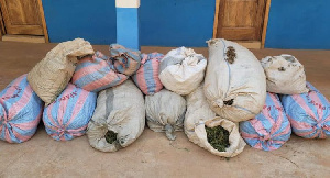 23 Bags Of Wee Indian Hemp .jpeg