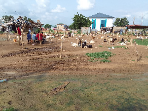 The poor state of the Bolgatanga Goat market