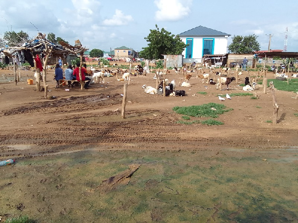 The poor state of the Bolgatanga Goat market