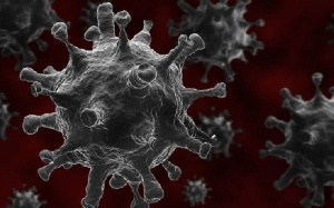 Coronavirus Variant Illustration Of V 