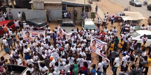 A section of the delegates displaying NPP paraphernalia