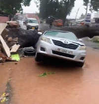 Tree Ruins car