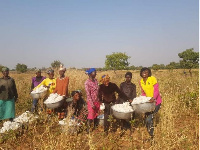 SEF entrepreneur harvesting cotton wool from her farm