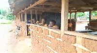 Some of the pupils in the mud structure