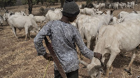 According to the DCE a task force has been set up to evict the herdsmen from the area