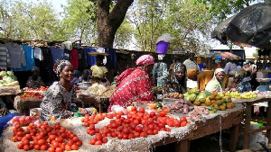 Food Crops1