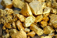 A pile of gold nuggets