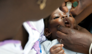 Polio can lead to paralysis by attacking the nervous system.File photo