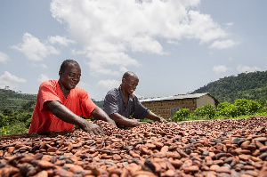 Ghana has raised its farm gate price for cocoa by 21%