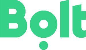 Bolt Logo.png