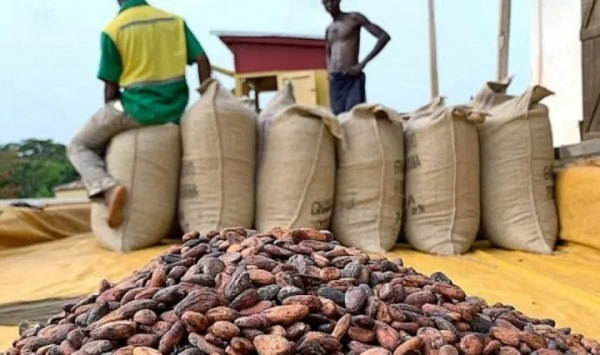 Ivory Coast and Ghana account for almost 60% of world supplies for cocoa beans